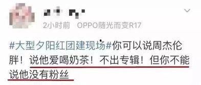 娱乐吃瓜报道文案怎么写,揭秘明星幕后故事，揭秘幕后真相
