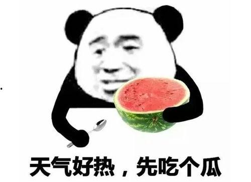 回复吃瓜表情的技巧